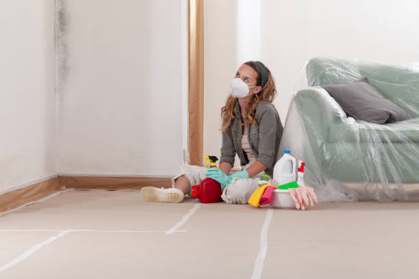 Reliable Mold Cleanup contractor in La Grange, IL by WQB Mold Removal